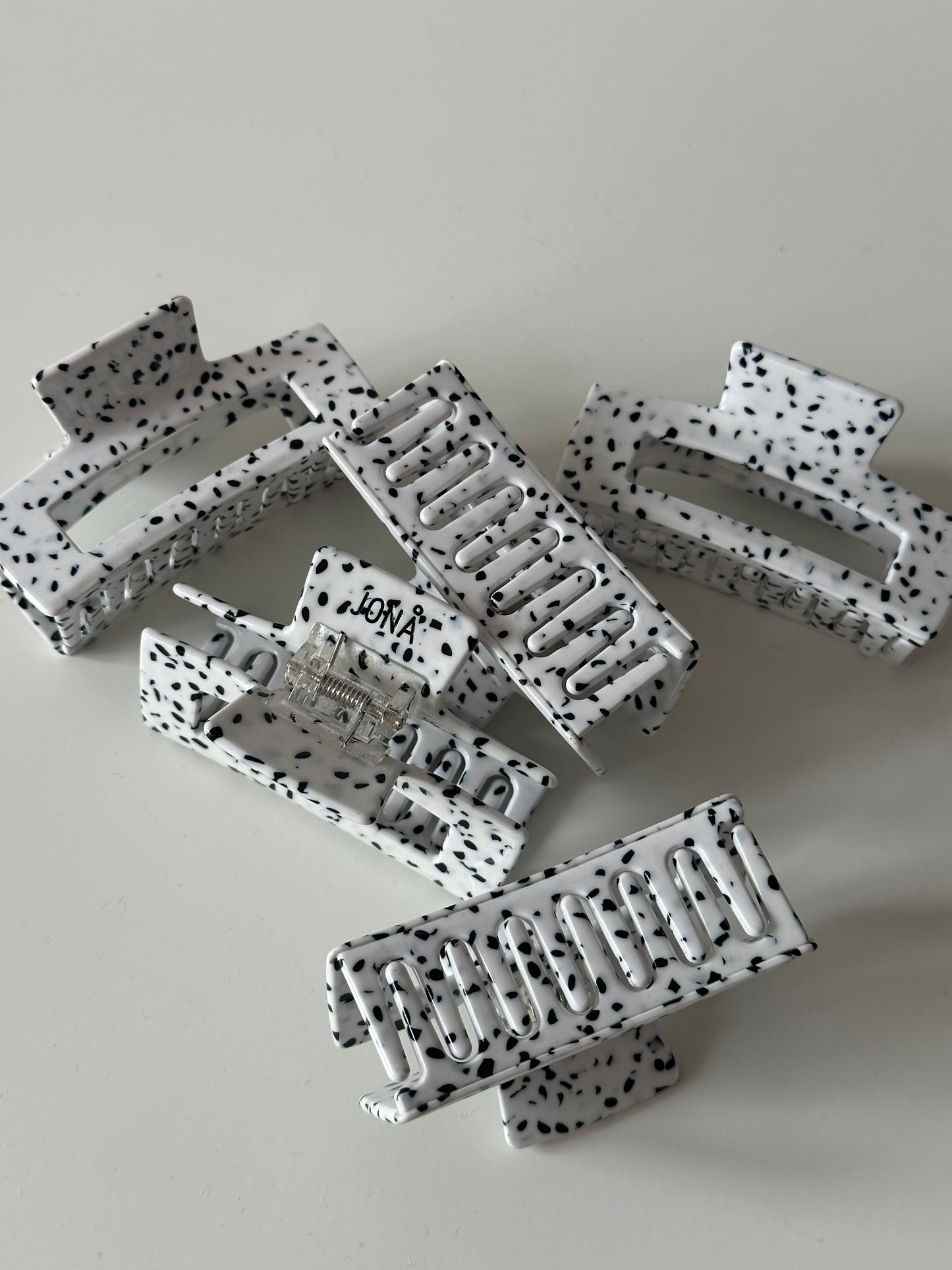 dalmatian