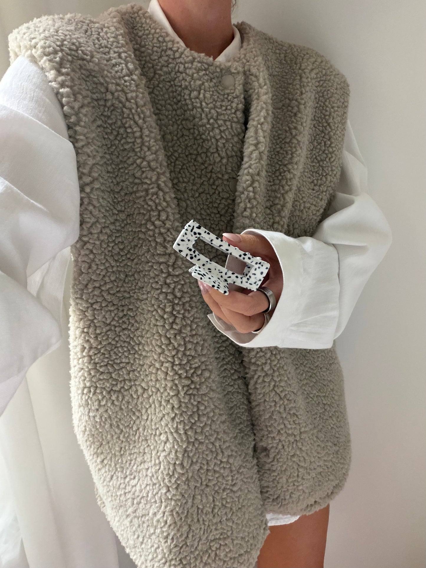 dalmatian