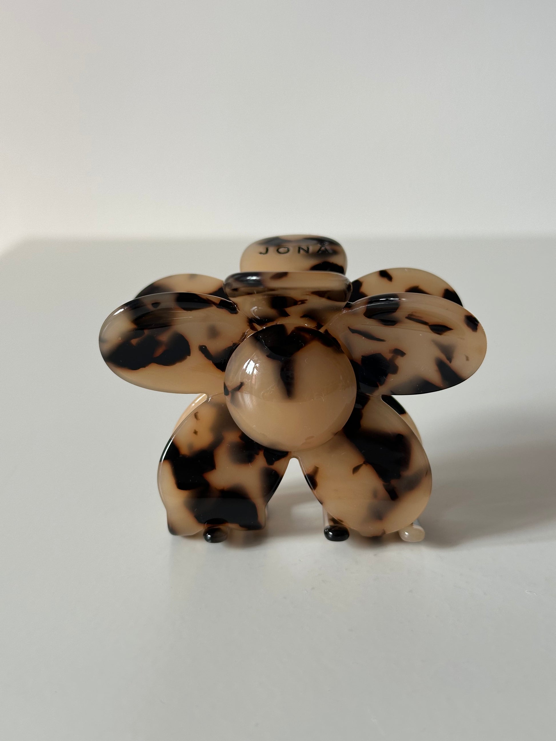 tortoise
