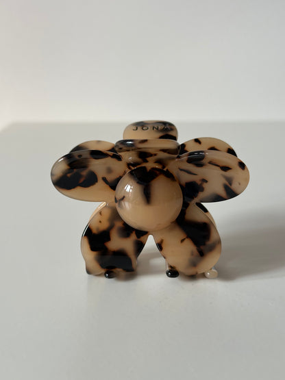 tortoise