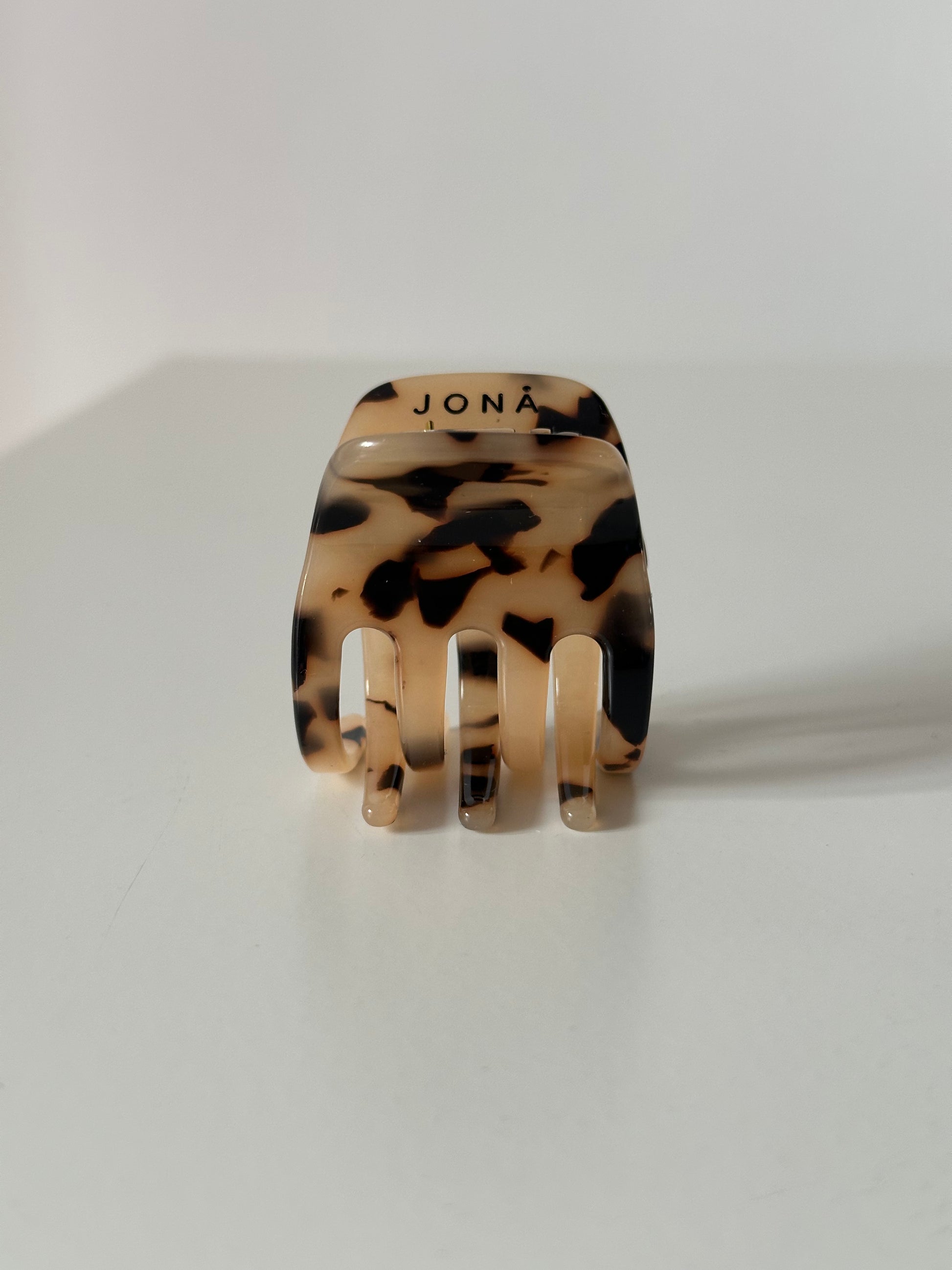 tortoise