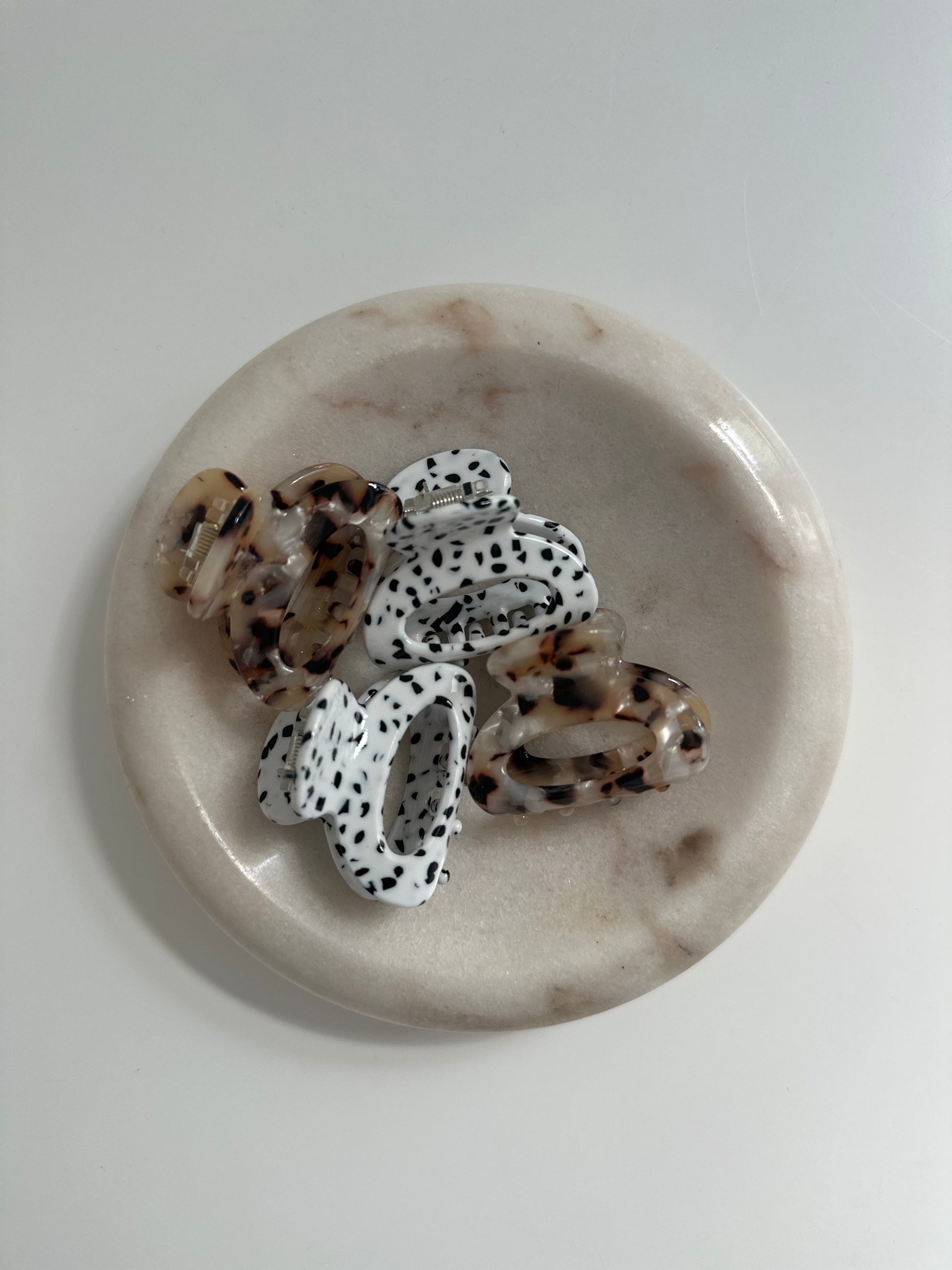 dalmatian