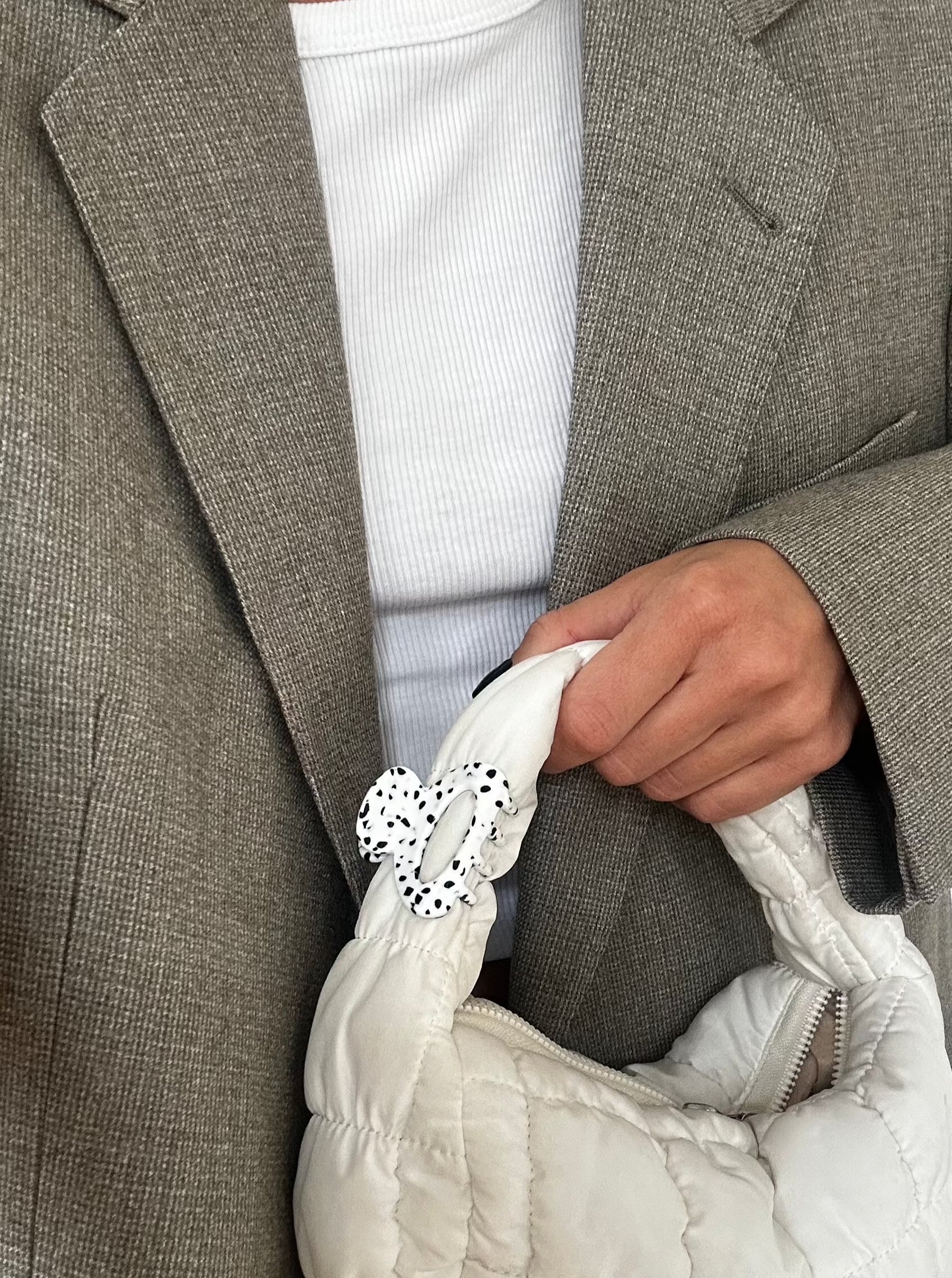 dalmatian